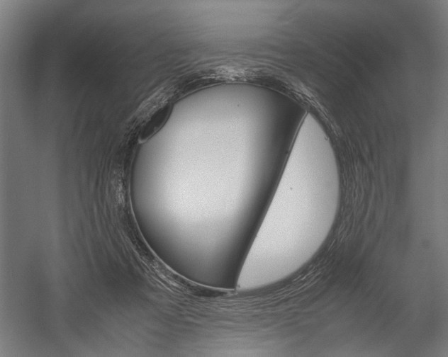 X0000060260313200510281016