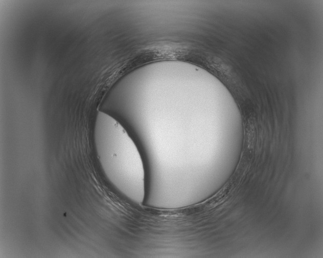 X0000060260314200510281016