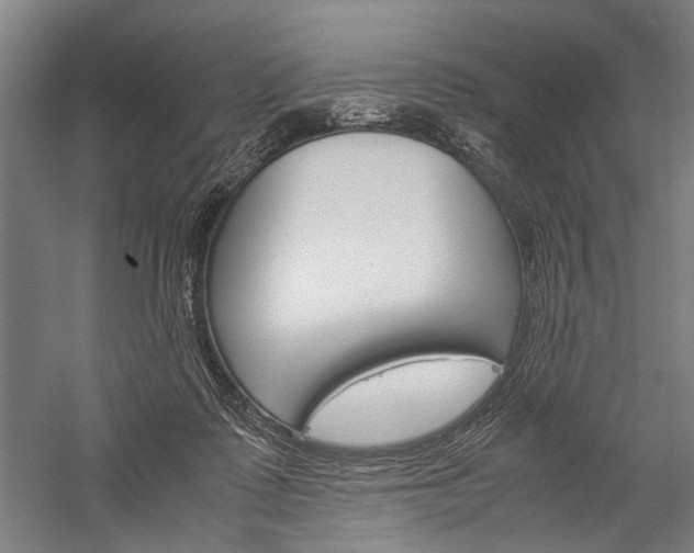 X0000060260315200510281016