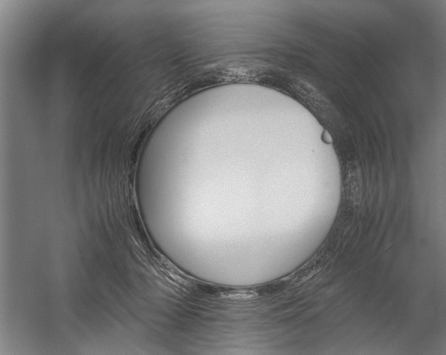 X0000060260318200510281015