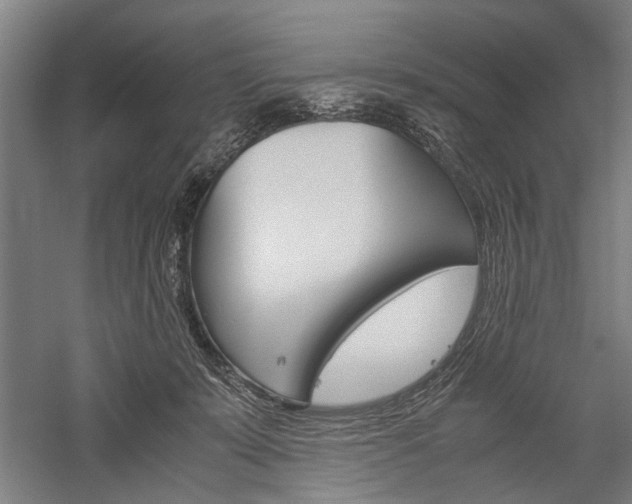 X0000060260319200510281015