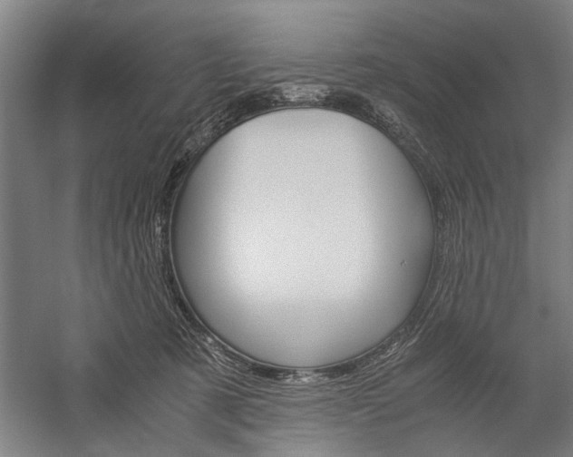 X0000060260321200510281015