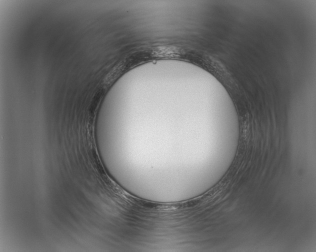 X0000060260322200510281015