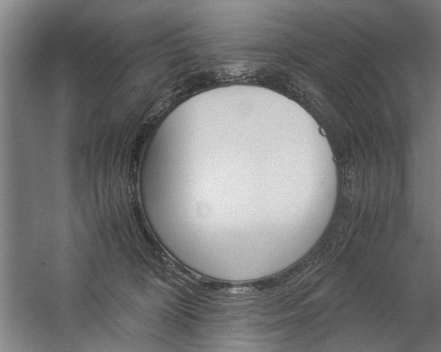 X0000060260324200510281015