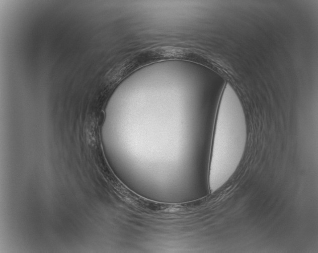 X0000060260325200510281015