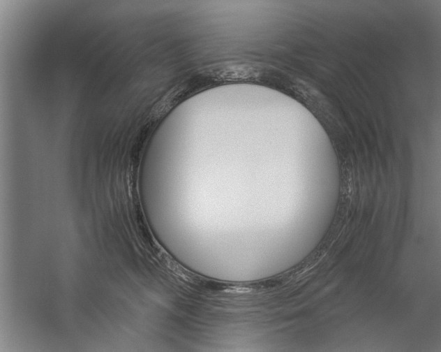 X0000060260326200510281015