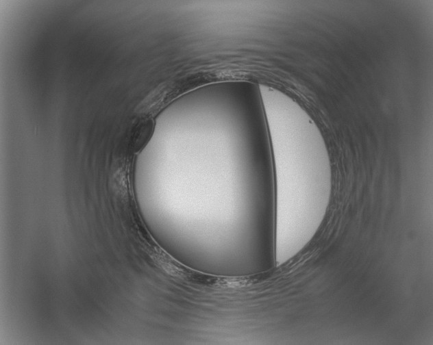 X0000060260329200510281015