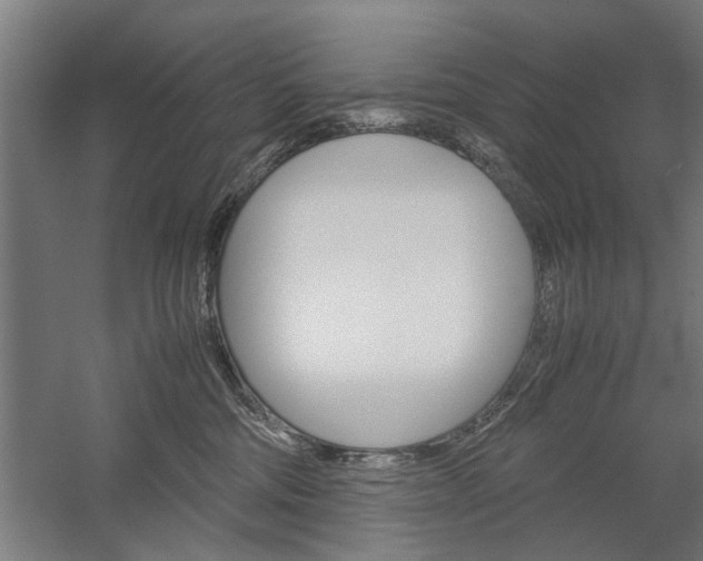 X0000060260330200510281015