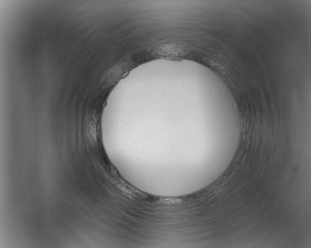 X0000060260334200510281015