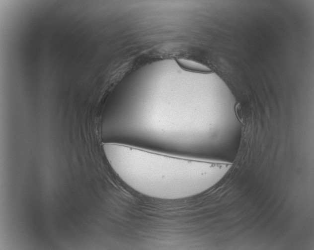 X0000060260335200510281015