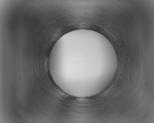 X0000060260336200510281015