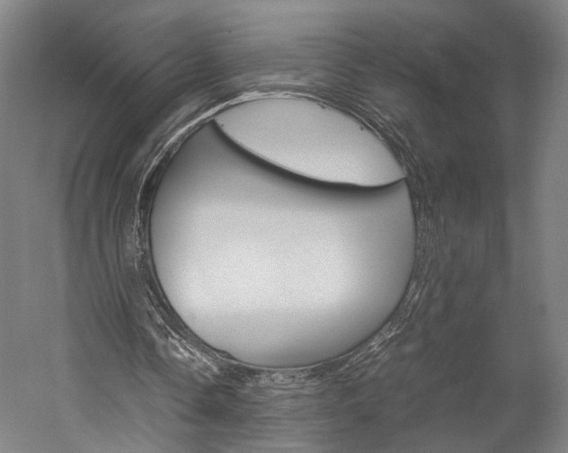 X0000060260338200510281014