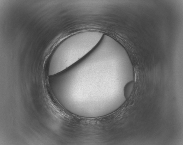 X0000060260339200510281014