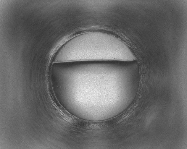 X0000060260341200510281014