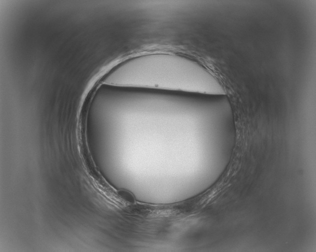 X0000060260342200510281014