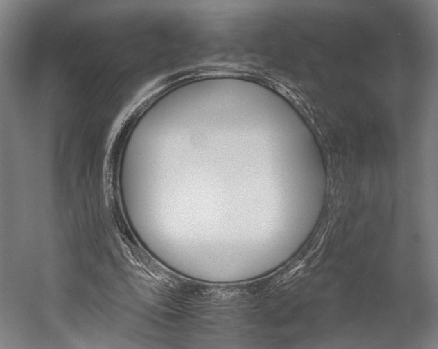 X0000060260343200510281014