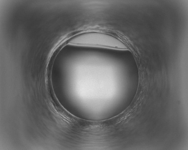 X0000060260344200510281014