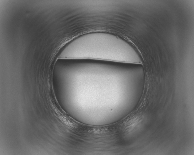 X0000060260345200510281014