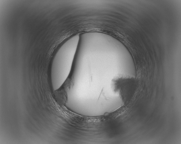 X0000060260353200510281015