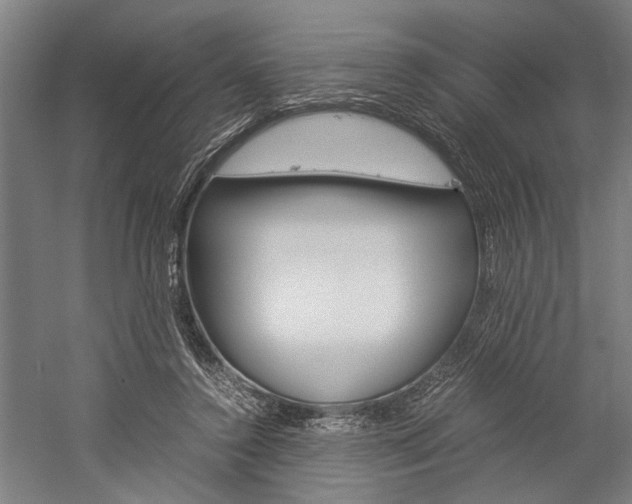 X0000060260356200510281015