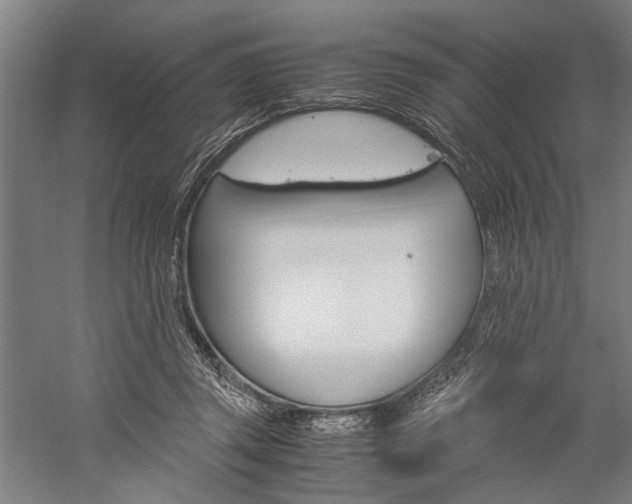 X0000060260357200510281015