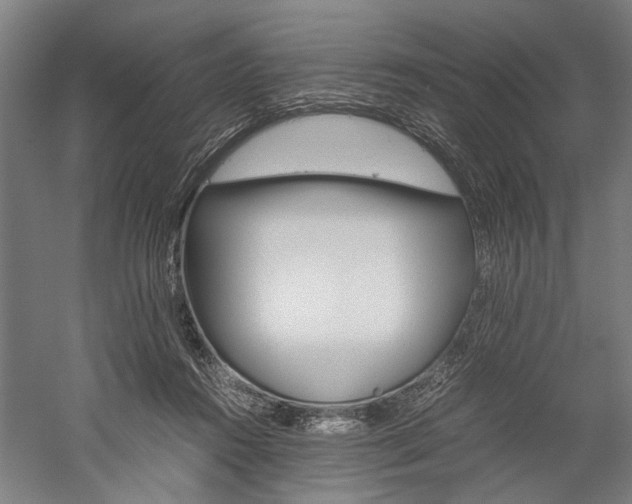 X0000060260360200510281015
