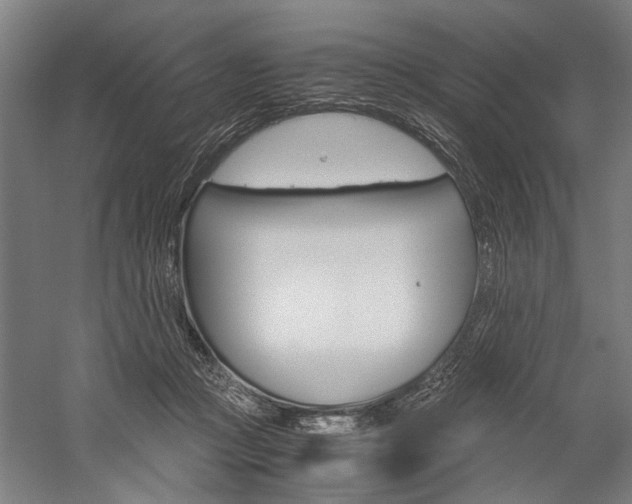 X0000060260361200510281015