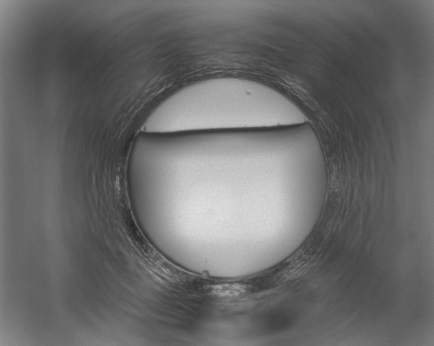 X0000060260363200510281015