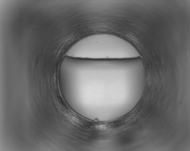 X0000060260365200510281015