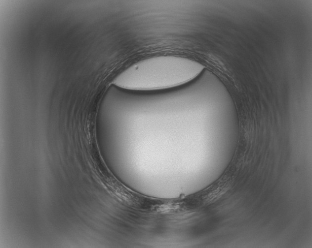 X0000060260366200510281015