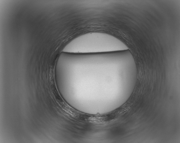 X0000060260367200510281015