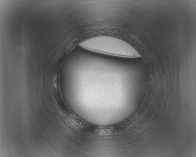 X0000060260368200510281015