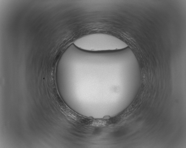 X0000060260369200510281015