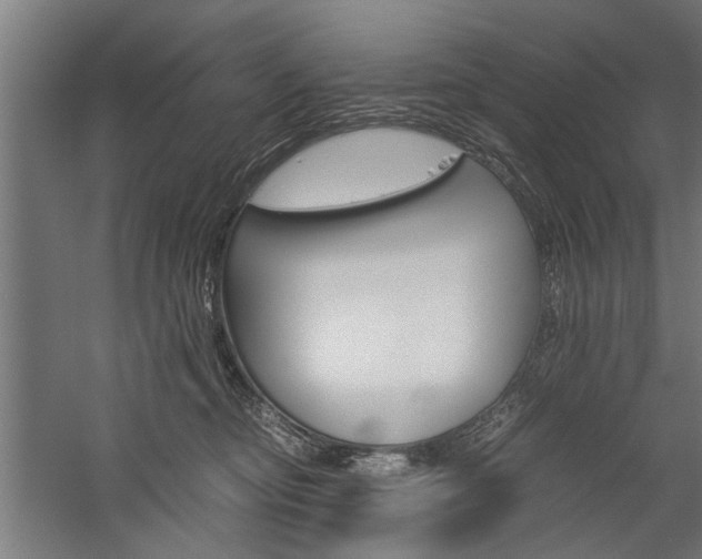 X0000060260374200510281015