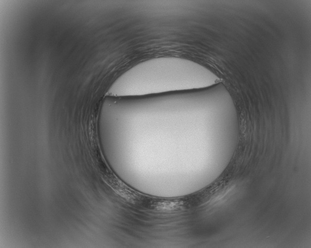 X0000060260375200510281015