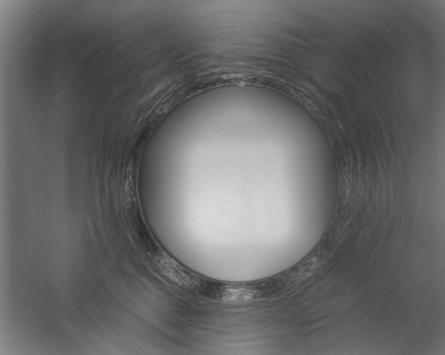 X0000060260376200510281015