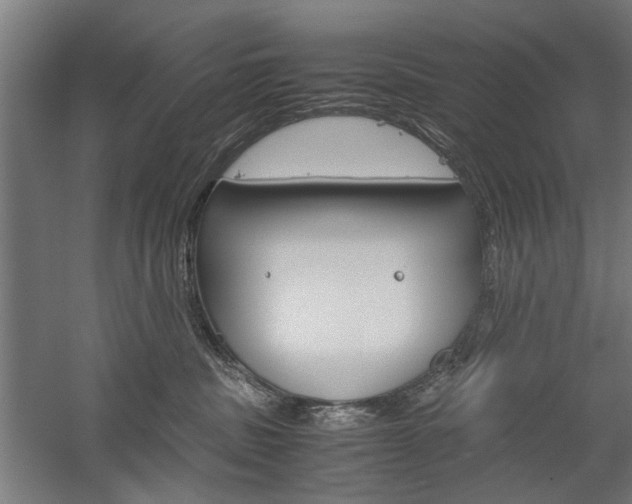 X0000060260379200510281015