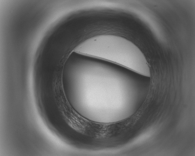 X0000060260383200510281015