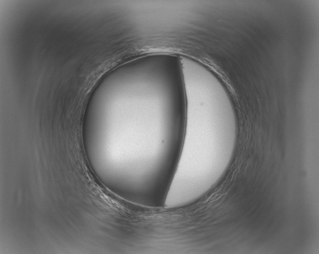 X0000060260385200510281014