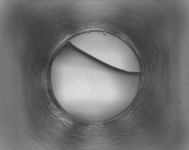 X0000060260386200510281014