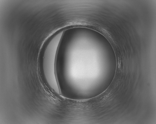 X0000060260388200510281014