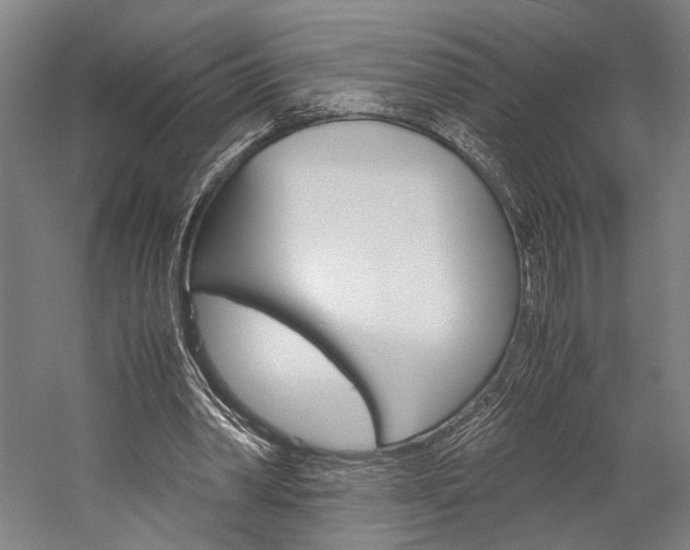 X0000060260390200510281014