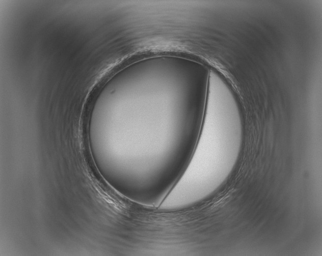 X0000060260391200510281014