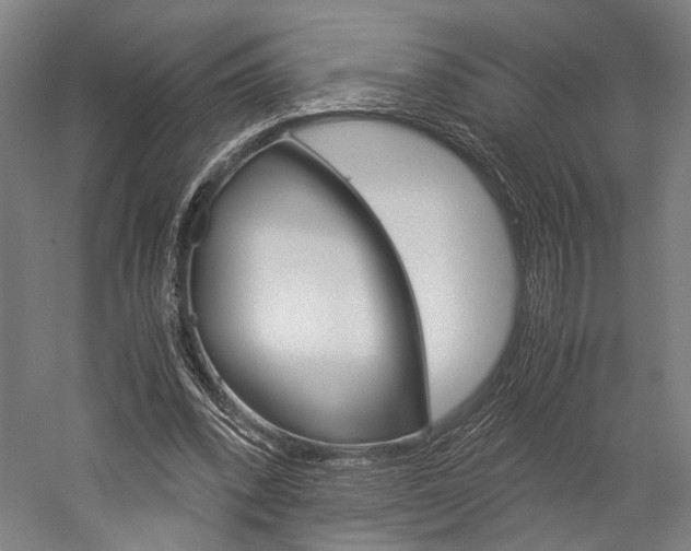X0000060260392200510281014