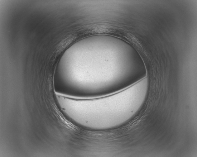 X0000060260393200510281014