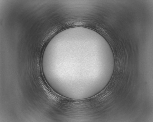 X0000060260394200510281014