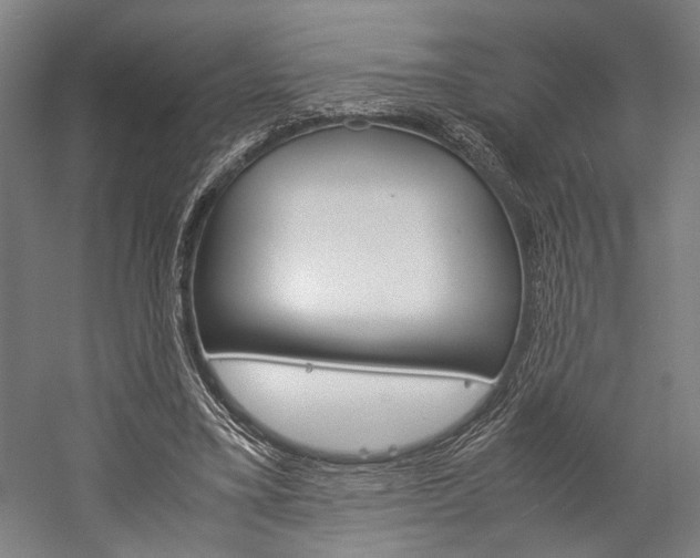 X0000060260395200510281014