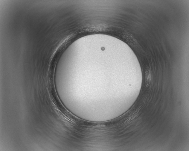 X0000060260396200510281014