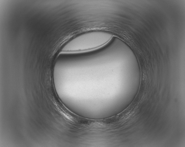 X0000060260397200510281014