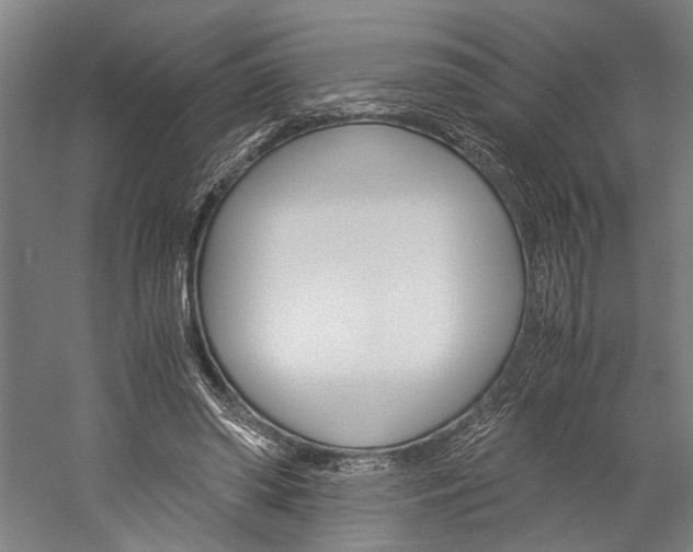 X0000060260398200510281014